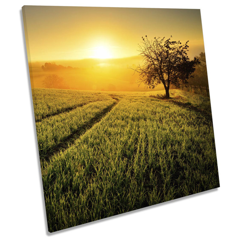 Z0055 Summer Sunset Tree Landscape - Wrapped Canvas Print, 60cm H x 60cm W x 2cm D