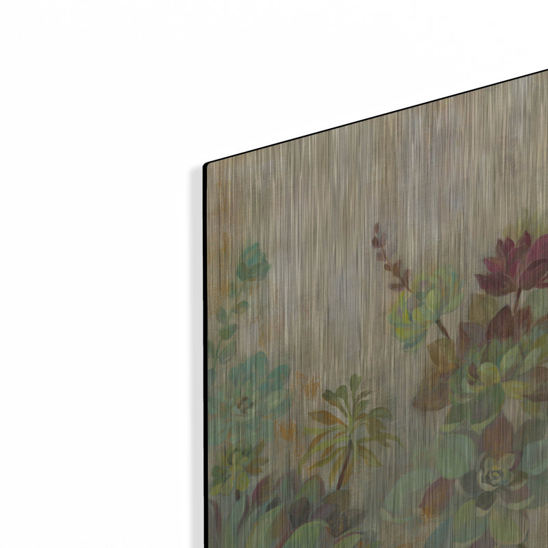 «Jardin de plantes grasses» par Silvia Vassileva, H 12 po x l 16 po