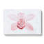 Light Pink Boat Orchid - Wrapped Canvas-56630560