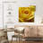 Harnek Yellow Rose