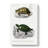 Tortoise & Turtle Illustrations PL. 1 by Charles D' Orbigny - Wrapped Canvas Painting-55361401