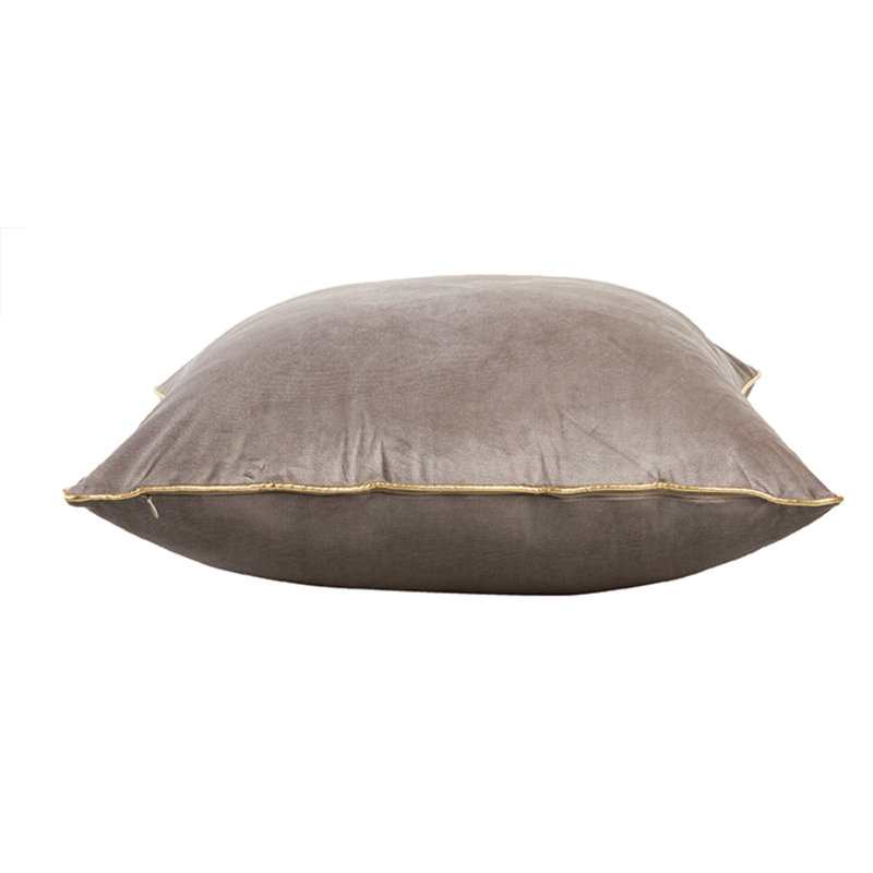 Noah Velvet Square Accent Pillow, Gray