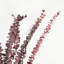 Branche d'eucalyptus artificiel de 26 po pour remplisseur de vase-1765918711