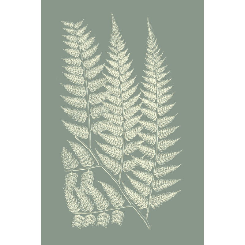 «Ferns on Sage III», peinture sur toile, H 30 po x l 20 po