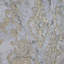 Papier peint damassé victorienne