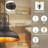 Ricciardi Light Oil Rubbed Bronze Pendant