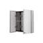 Carra 450mm W 500mm H Surface Frameless Medicine Cabinet Mirror 1 Fixed-503718391