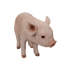 Statue bébé cochon debout-120494331