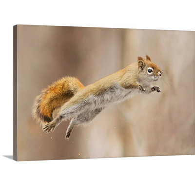 Straub " I Can Fly " Print