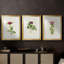 «Pretty Pink Botanicals II», reproduction sur mesure encadrée de qualité supérieure - 3 pièces-2145477661-2145477664