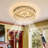 Meghann Ceiling Fan with LED Lights