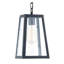 Luminaire suspendu rectangulaire à 1 lumière Souza