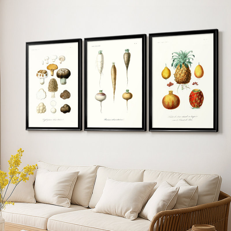 Fruit et légume Variétés IV - Toile tendue sur mesure avec châssis, 3 pièces, H 21 po x l 30 po, Noir