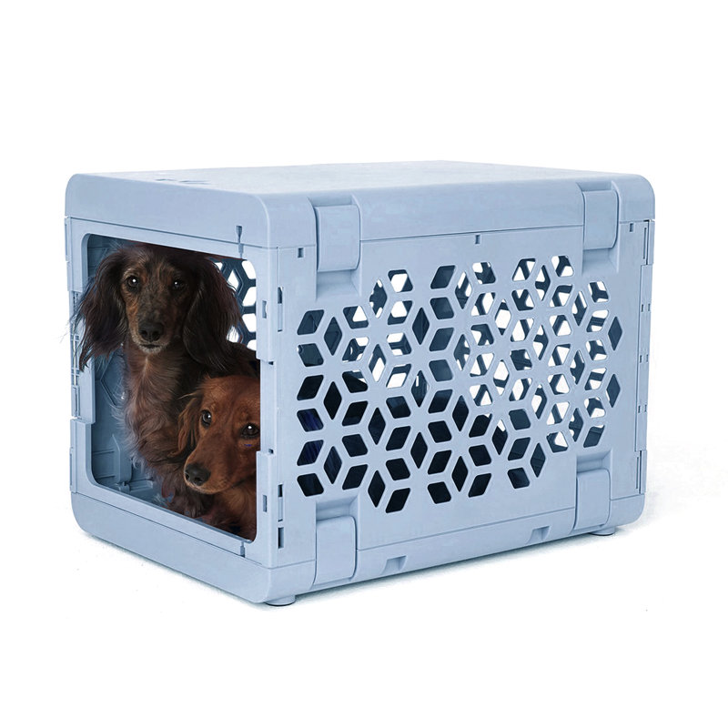 PAWD® | Modern Dog & Pet Crate - Caisse pliable pour chiens, Petit (H 16 po x l 16 po x L 21 po), Bleu