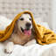 Plush Mink Fleece Blanket – Ultra-Soft, Lightweight Throw For All Seasons-113714314-113714322
