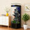 Aquariums de style européen avec verre ultra-transparent et détails dorés