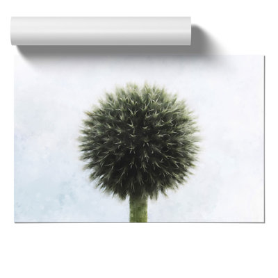 Thistle Flower Painting - Frameless Print