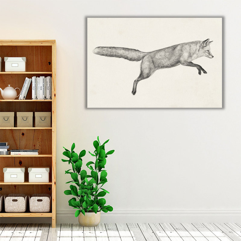 Flying Fox I - reproduction d'art sur toile, H 20 po x l 30 po