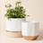 Chanko Ceramic Pot Planter-1026338917