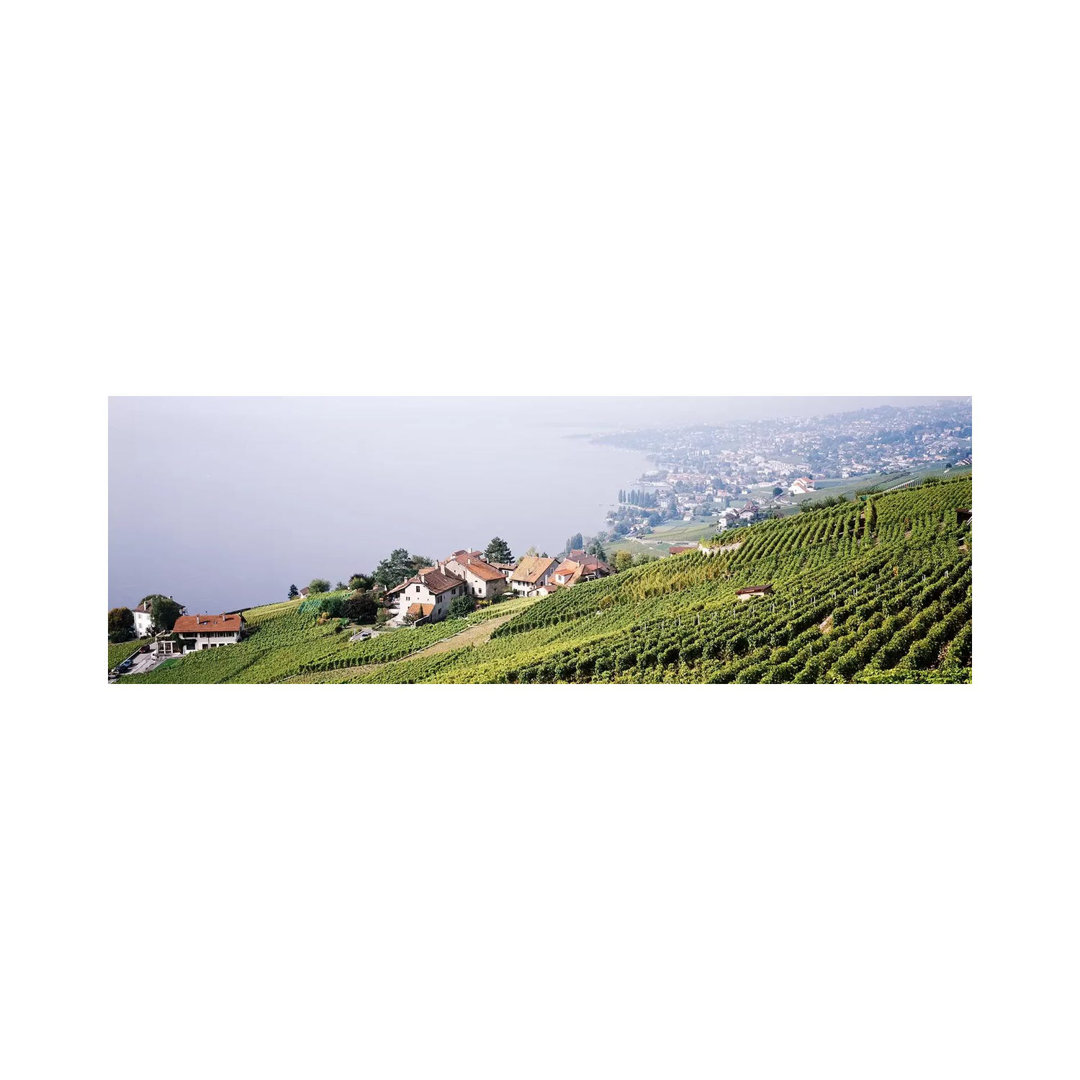 Hillside Sloping Vineyards, Lausanne, Vaud, Switzerland - Wrapped Canvas Panoramic Print