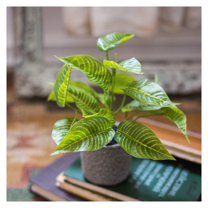 Plante bonsai artificielle en pot de fleurs