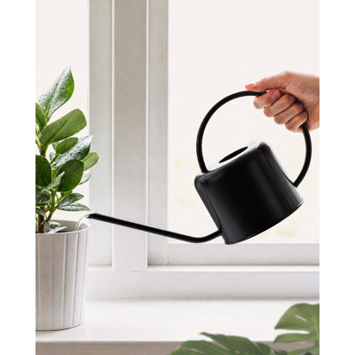 35 OZ 1L Stainless Steel Metal Watering Can Long Spout Watering Can for Indoor Outdoor House Potted Plants Succulents Bonsai Garden Flowers