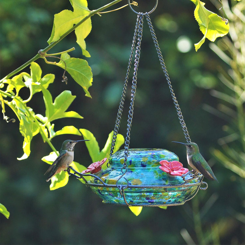 Olav Glass Hanging Hummingbird Feeder