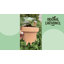Cute Pots Pot Planter