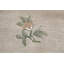 Tapis népalais unique à motif floral noué à la main 5 pi 10 po x 8 pi 7 po One-of-a-Kind