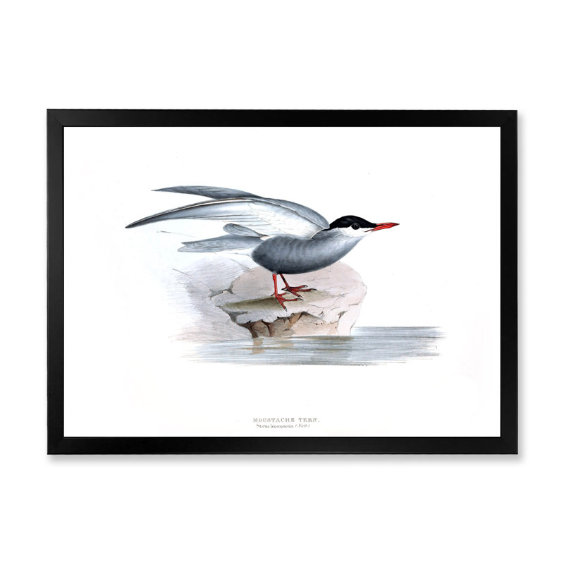 Oiseau rétro de l'Europe I - peinture sur toile, H 12 po x l 20 po x p 1 po, Cadre photo noir