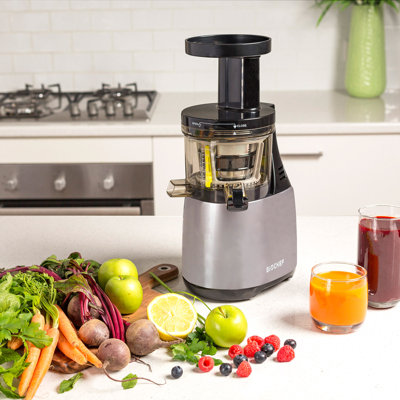 BioChef 150 Watt Electric Slow Masticating & Cold Press Juicer