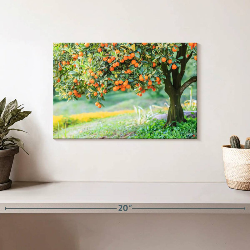 Harnek Orange Tree, 8" H x 12" W