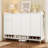 Contemporary Shoe Cabinet With Adjustable Shelves, Minimalist Storage Cabinet, Accent Cabinet With 1 Drawer -923960810