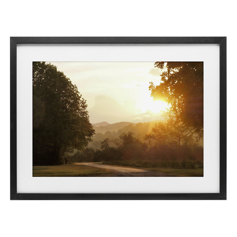 Golden Morning Entre Arbres, reproduction encadrée sous verre, design par Gail Peck, H 14 po x l 20 po, Cadre noir minuit