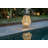 13'' Battery Powered Integrated LED Jar Lantern