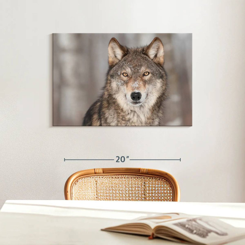 Brampt Gray Wolf Stare, 16" H x 24" W