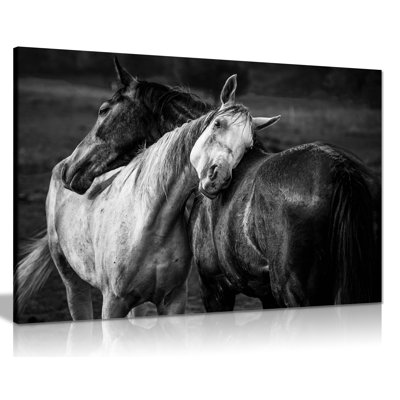 Horses Affection - Wrapped Canvas Art Prints