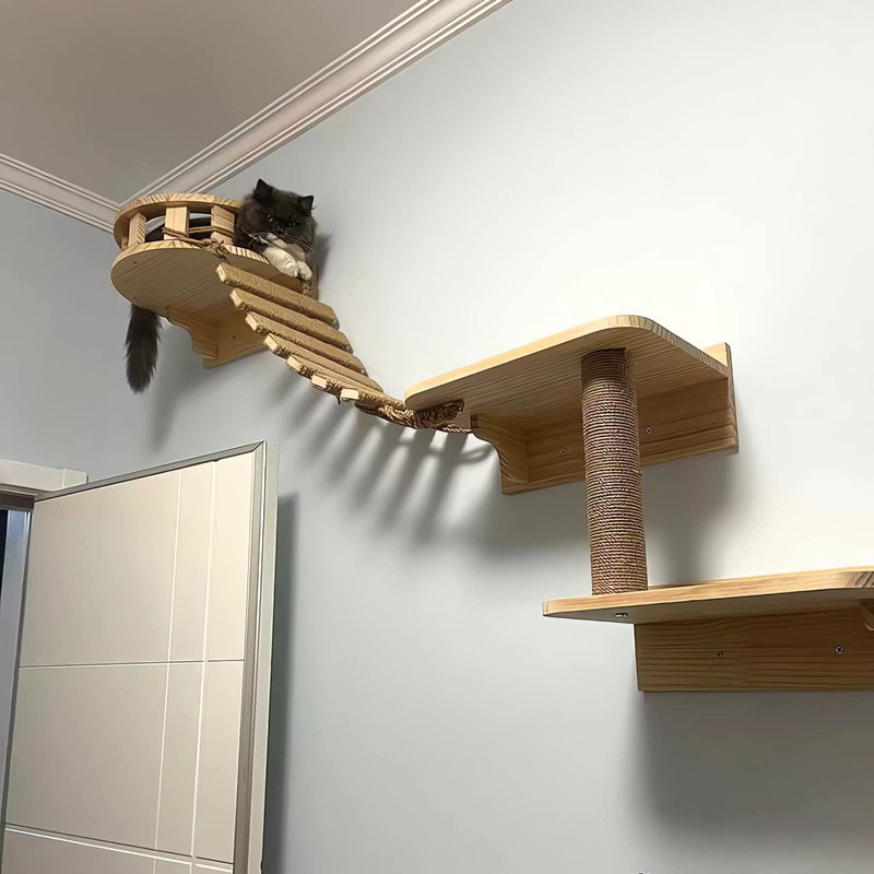 Cat Climbing Rope Ladder