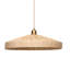 Parasol 1 - Light Pendant-329281826