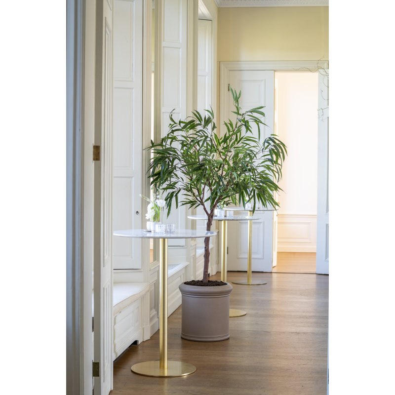 Max classique L, taupe