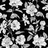 Hibiscus Haiti Flower Wallpaper