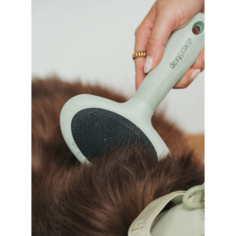 Pet Slicker Brush: Medium