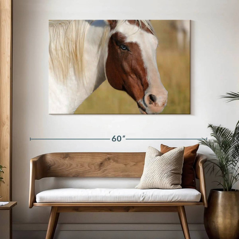 Brampt Blue Eyed Beauty, 32" H x 48" W