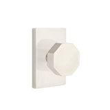 Double Dummy Octagon Knob with Modern Rectangular Rose