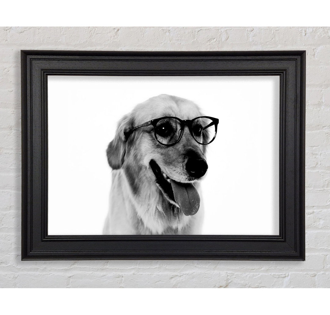 Have You Seen My Glasses B N W Framed Print