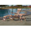 Remmington 149cm Long Reclining Teak Single Chaise