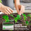 Lit de jardin surélevé en métal 2 pi x 2 pi Ruot-1176168149