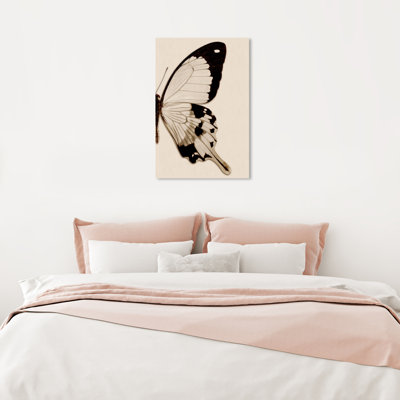 Animaux, sépia, papillon II, insectes - reproduction de photo sur toile