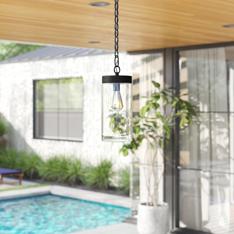 Luminaire suspendu d'extérieur noir à 1 lumière H 10,63 po Aldridge