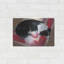 «Chien sur un tapis» par Durwood Coffey-659417992